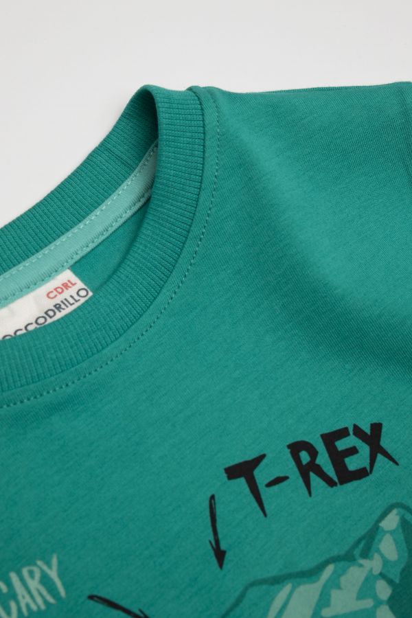 T-shirt z długim rękawem zielony z nadrukiem dinozaura 2114719
