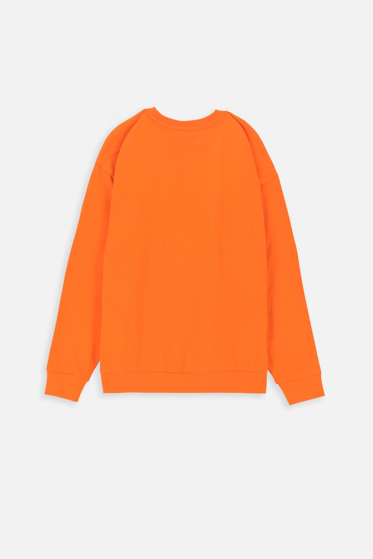 T-shirt z długim rękawem LOONEY TUNES pomarańczowy z nadrukiem - Diabeł Tasmański 2228406
