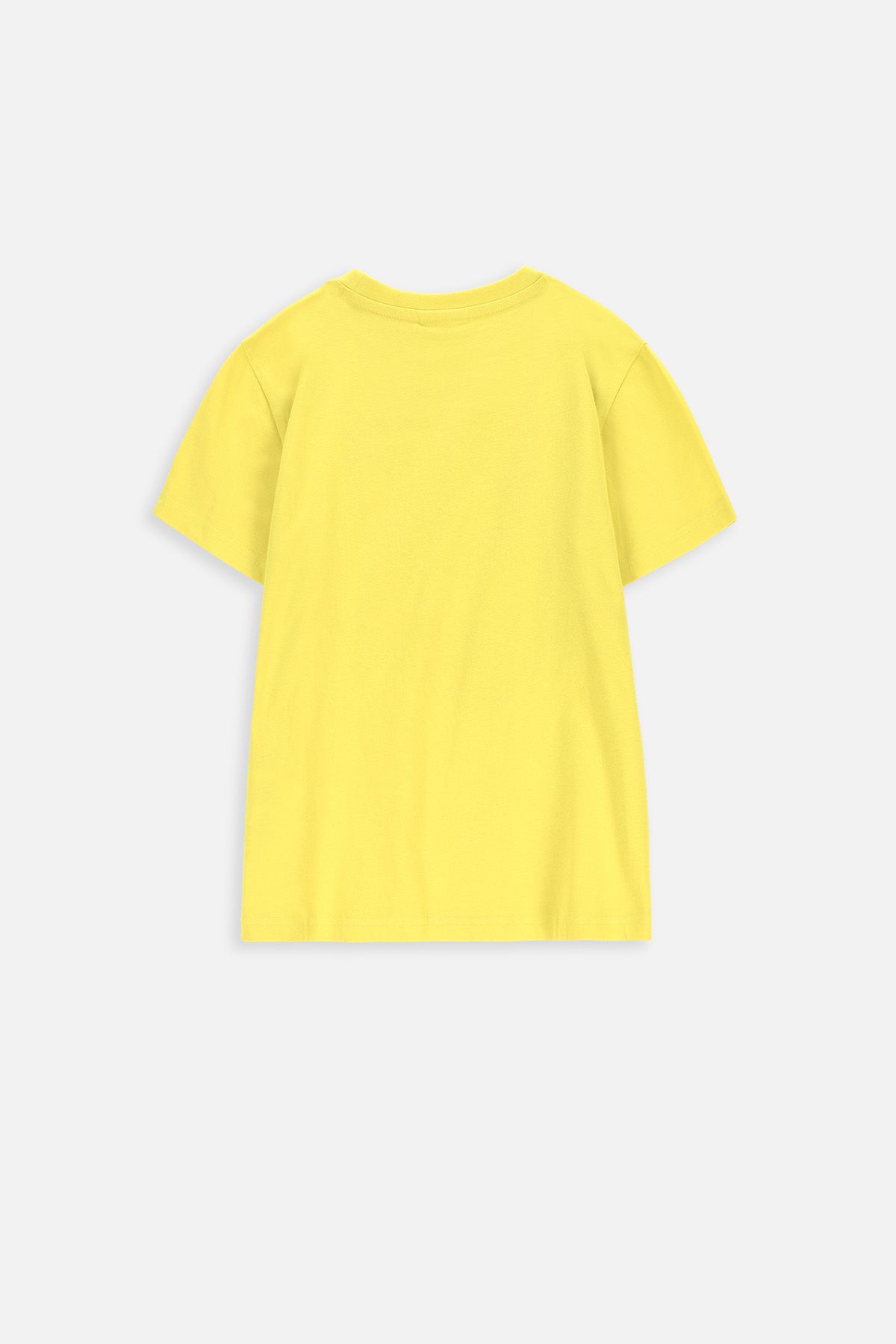 T-shirt z krótkim rękawem HARRY POTTER limonkowy z herbem Hufflepuff 2228500